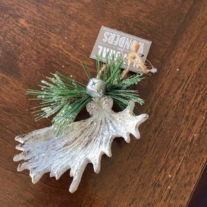 Natural Wonders ornament (firm price)